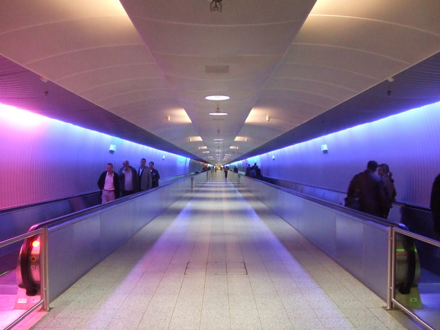 DSCF0334